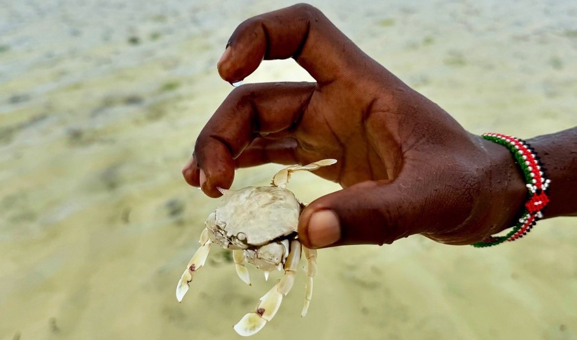 Watamu marine conditions in May