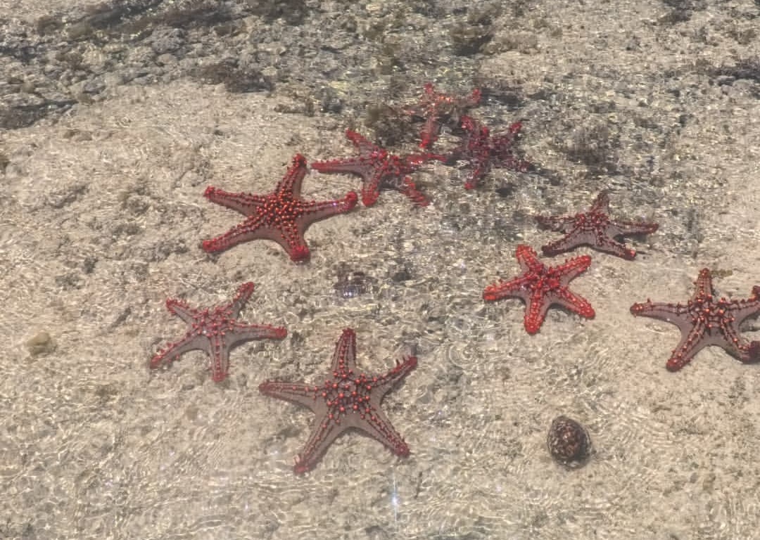 Watamu marine conditions in April