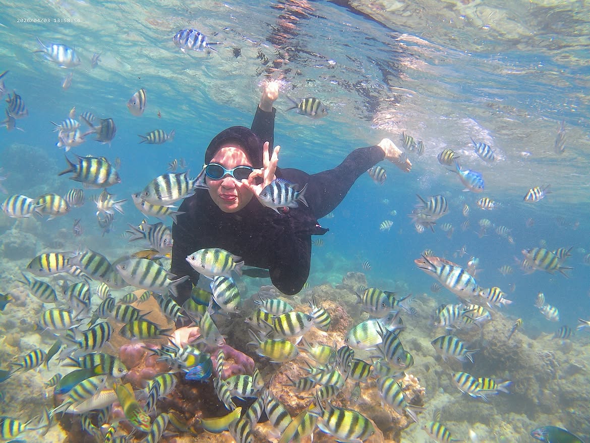 Watamu marine conditions in February
